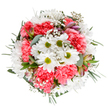 This vibrant hand-tied bouquet, crafted in the heart of Peckham, radiates the spirit of renewal and local joy with every detail. Central white daisies beam brightly, their golden-green centers framed by a flourish of delicately ruffled coral-pink carnations-like the hues of a warm dawn over Peckham Rye Common. Interspersed with miniature stars of white gypsophila, the arrangement sings with a sense of lightness and celebration, balanced by the gentle coolness of eucalyptus leaves and the rich, grounding greens picked from nearby markets. Subtle alstroemeria buds tucked between the blossoms introduce quiet hints of blush and purple, suggesting a promise of more blooms to come. Each flower and sprig has been placed with intention, creating a rounded composition that feels both tranquil and exuberant-a bouquet that could grace a lively gathering on Bellenden Road or lift the atmosphere in a quiet artist's studio. The palette and textures, fresh and uplifting, beckon the senses-inviting thoughts of spring breezes and the comforting presence of nature in city life. Delivery from Flowers Peckham ensures this carefully composed display reaches homes and offices across SE15 at its garden-fresh best, making it the ideal gift for birthdays, celebrations, or any moment where Peckham's warmth and kindness deserve to be shared through flowers.